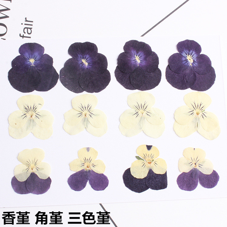 8844288094_448688674_副本