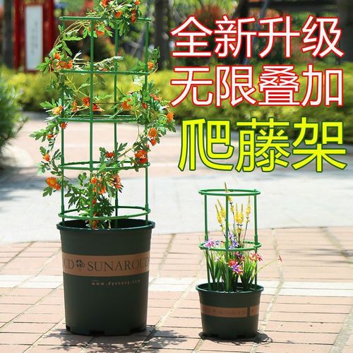 Flower stand support ring support rod can be spliced ​​leaf guard bracket plant potted orchid bracket climbing pergola indoor flower stand