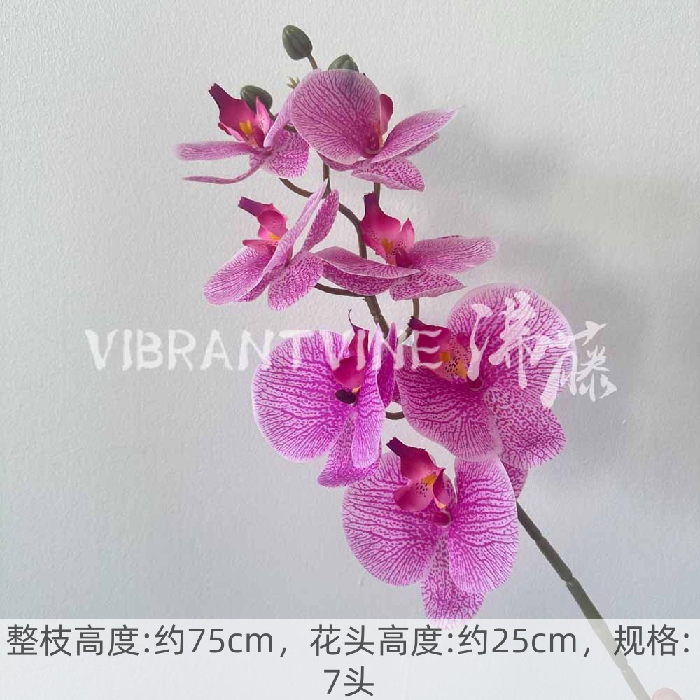 Rose red 7-head hand-feeling phalaenopsis