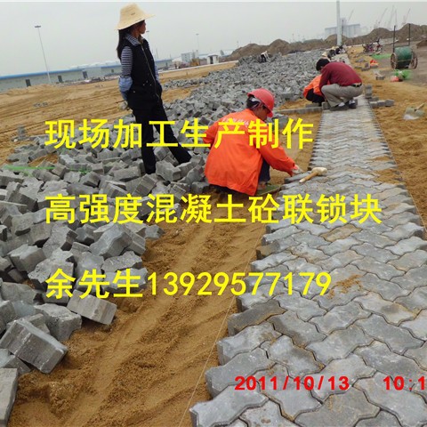 供应高强度砼码头砖，S砖混凝土联锁块，连锁块厂家