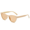 Retro brand sunglasses, 2021 collection, European style