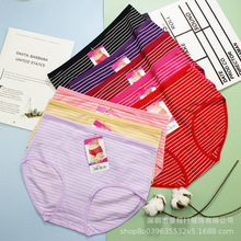 纯棉内裤女 大码全棉条纹款中老年中高腰 跑量款五元模式厂家批发