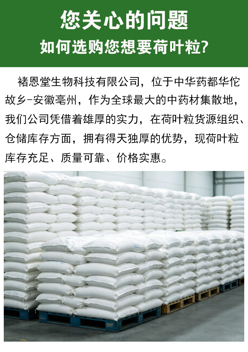 Lotus Leaf Granules (Nelumbo nucifera) — Dried Food-Herb Tea, Unsulfured, 500g Bulk overview