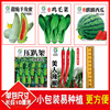 Small packaging Various vegetable seeds 8*10 cm small packaging can be used as gift vegetable seed factories wholesale