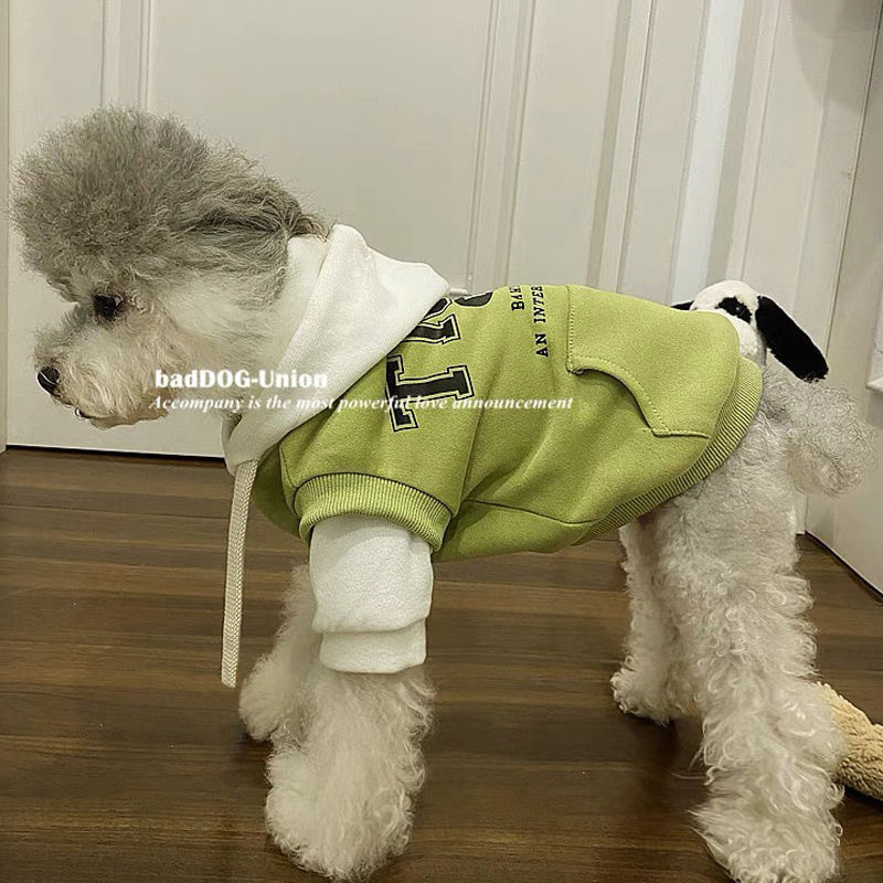 봄 여름 강아지 옷 트렌디 브랜드 탈피 방지 슈나우저 테디 비숑 포메라니안 찻잔 강아지와 고양이 옷 노란색 명예