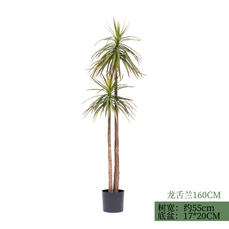 Agave-160cm de hoja estrecha (con base negra)