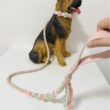 批发花朵编织宠物牵引绳 时尚潮流大小型犬牵绳 多款花色可选