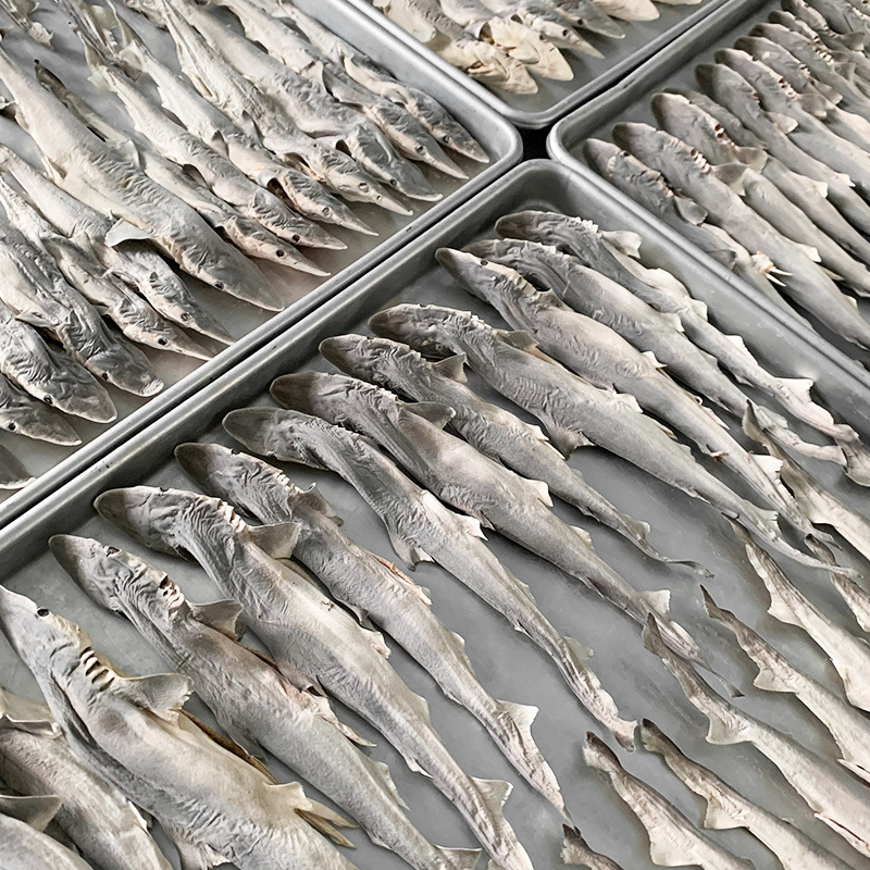 I B E A N S Freeze-dried Baby Shark Snacks Pet Snacks Freeze-dried Cod Blue Shark Dog Snacks Whole Cod Cat Snacks