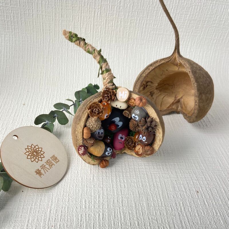 Imported Plant Dried Fruit Specimens Wholesale, Winged Apple Materials Package, Handmade DIY Accessories Materials, Dried Flowers Imported Plant Dried Fruit Specimens Wholesale, Winged Apple Materials Package, Handmade DIY Accessories Materials, Dried Flowers
