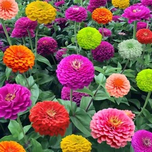 lղݻNͥԺ̨^վջNļ_