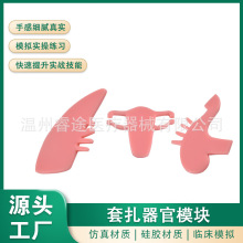 ��ǻ�R���gģ�MӖ����������ģ�K�p��ģ�M������ƋD����Ӗ�̾�