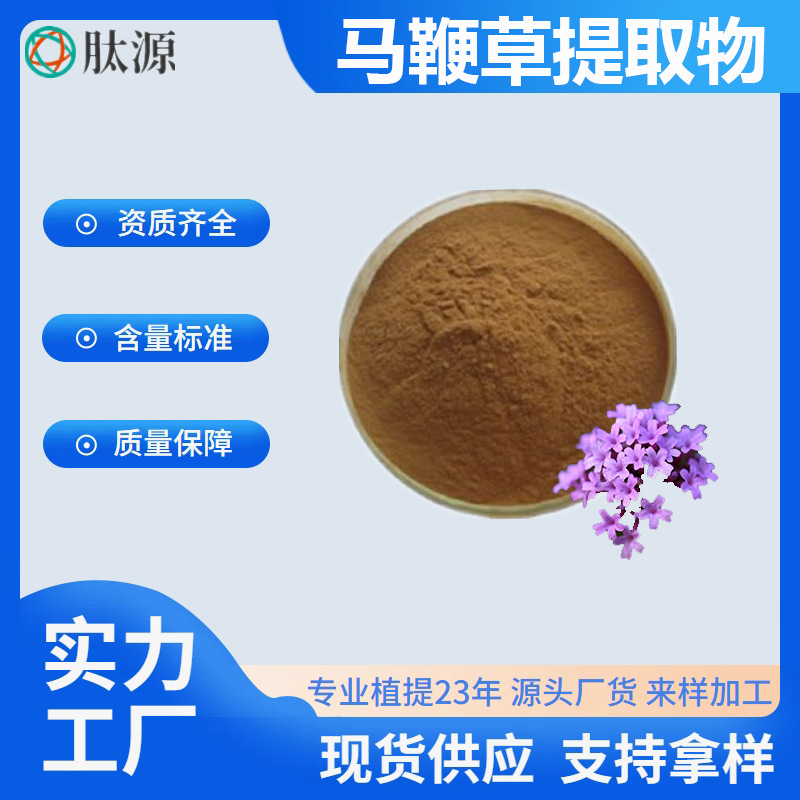 马鞭草提取物10:1  水溶性马鞭草粉  退血草提取物 现货供应