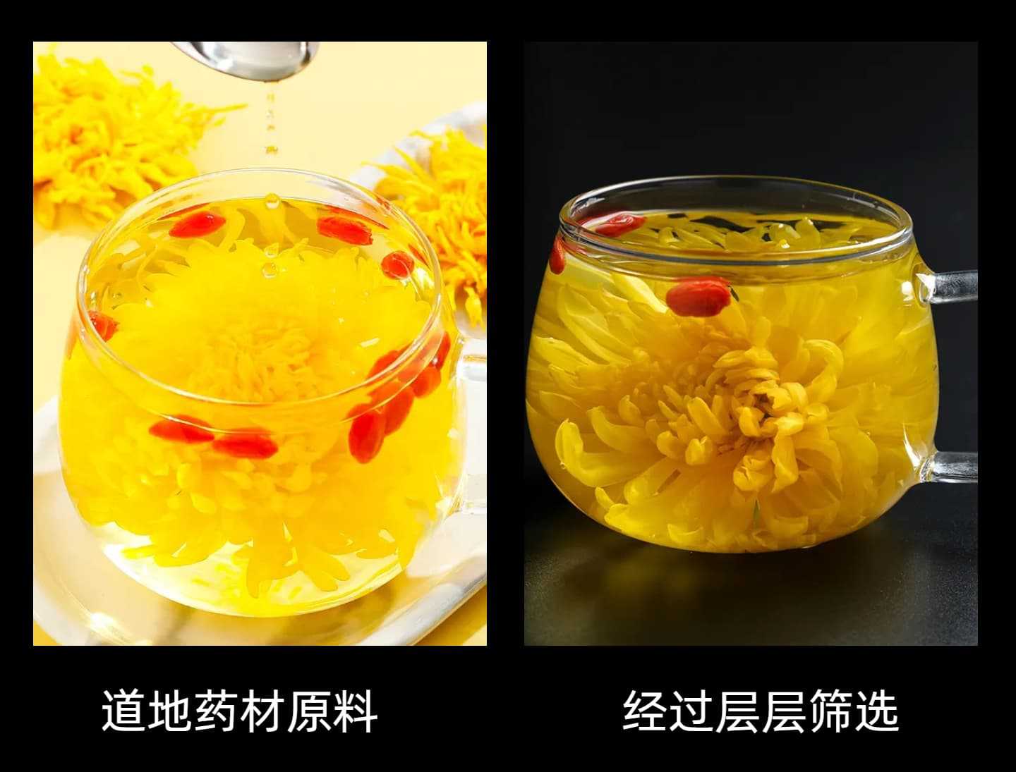 Golden Silk Chrysanthemum Tea Jin Si Huang Ju Large Blooms Individually Wrapped 100 Flowers Per Bag quality and texture