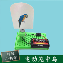 С�W���ƌW���늄ӻ\���B DIY���ƿƼ��ƌWС����ҕ�Xͣ���\���B