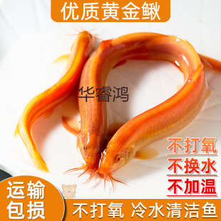 �q���������q���B���q��ˮ�~С���~�ͻ��^�p�~���]
