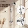 Electroplated ceramic handle shower set (high standard configuration)