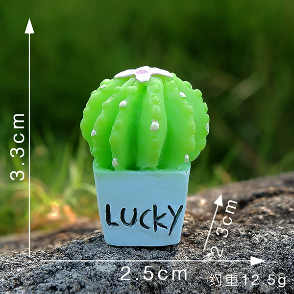 No. 2 Fairy Palm-Lucky