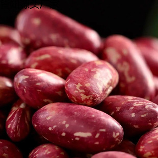 �|���ϻ�ܿ��5�����ļ����������ӽ�����s�Z�t��ܿ�������