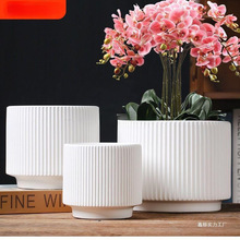 �մɻ�����ô�̖�ش�̖�����m������⻨�莧�бP����