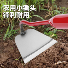 �r�È@ˇ�z���z���β݌����zС�z�^���÷N���z���z�^������������