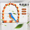 [factory]Bird gripper rod Station stick Pet bird supplies Quintana Scrub Swing