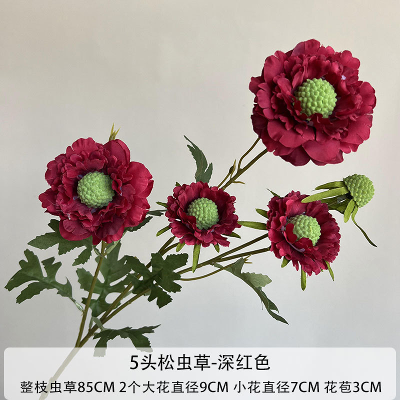 5-헤드 Cordyceps sinensis-다크 레드