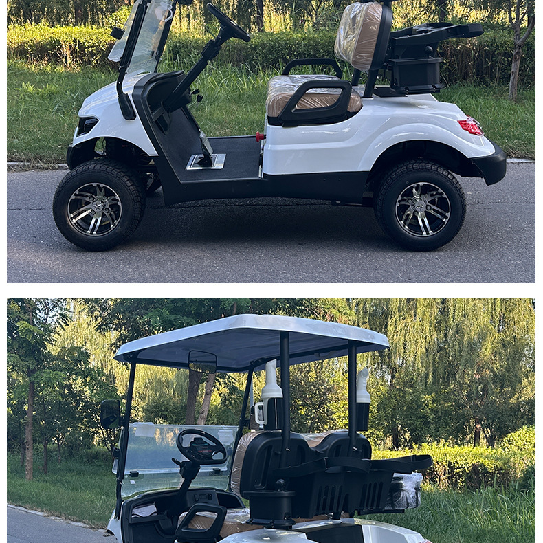 Multifunctional Electric Golf Cart Sand Bucket Ball Washer Insulated Box Rain Curtain Golf Cart for Golf Course