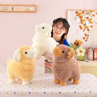 �羳С�d������ż��Ф�����ë�q���ץ�C���������˹���˾�YƷ