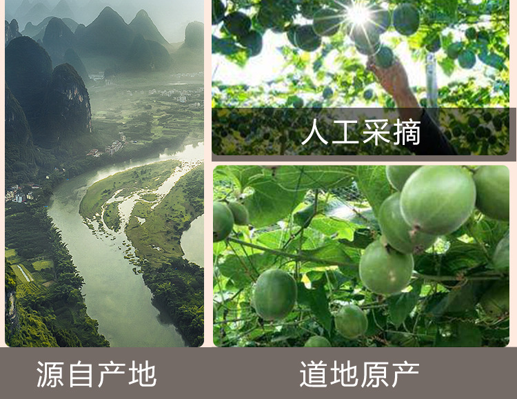 Luo Han Guo Seeds (Siraitia grosvenorii) — Dried Monk Fruit Seeds for Cold-Brew Tea, 55g Jar in use