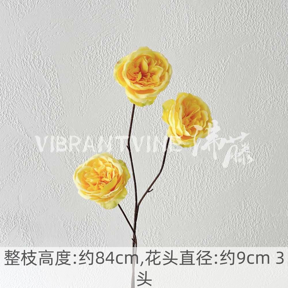 Yellow high branch austin rose