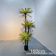 �¿������m���Ԅ����z�~�Gֲ�����m����̈������ȹ�������
