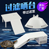 Turtle sunbathing platform Turtle turtle turtle turtle turtle latch climbing water and land cylinder aquarium landscape zinfromes