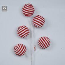 �}�Q���b�Ʒ�t�׽q���}�Q������ǹ��}�Q���b�����w��K