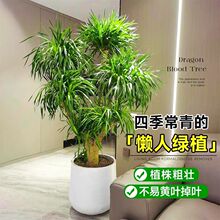 ��Ѫ��͏d�Gֲ���^��횘����F��͏d�Gֲ�҃ȴ�����Ѫ��ֲ������