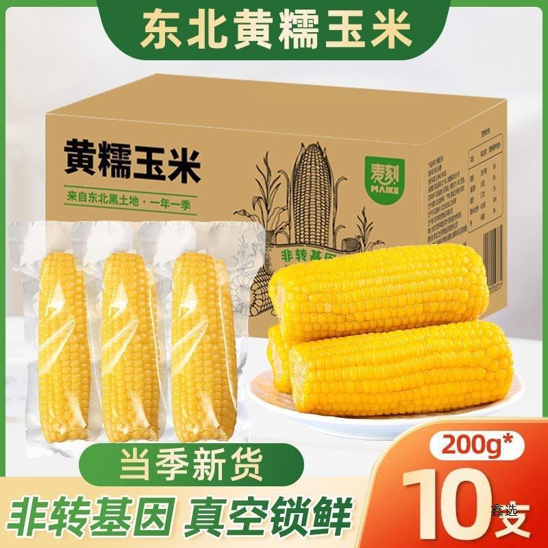 東北黄粘モチモチモチモチモチモチモチモチモチモチモチモチモチモチモチモチモチモチモチモチモチモチモチモチモチモチモチモチモチモチモチモチモチモチモチモチモチモチモチモチモチモチモチモチ10本|undefined