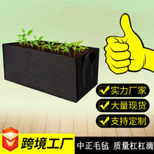 �羳���l�L����ë�ַNֲ����ֲͥ���������߲ˠI�B��ë���w�ֹ�