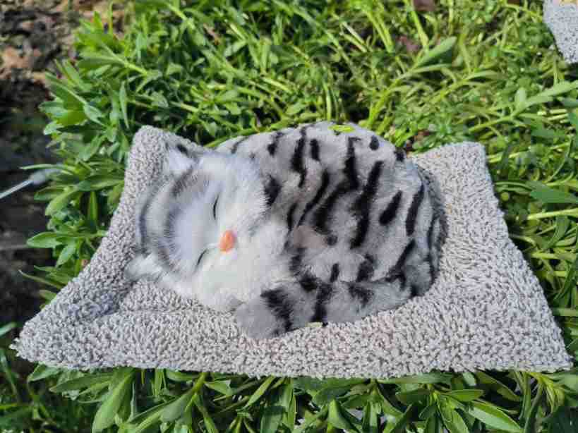 El gran castor verde entrega un gato gris