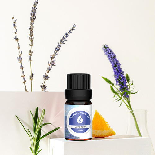 Essential Oil Manufacturer Direct Sales Hotel Club Aroma Diffuser Flameless Essential Oil Fragrance Indoor Replacement Refill