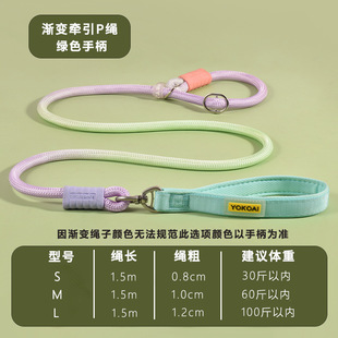 New Hot Selling Dog Explosion-Proof P Rope Anti-Winding Pet Leash Medium and Large Dog Explosion-Proof Dog Leash Dog Leash