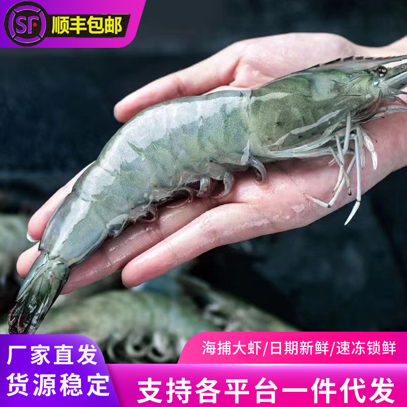 海捕大虾鲜活速冻超大基围虾冷冻大号厄瓜多尔对虾盐冻海虾批发