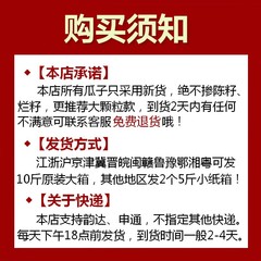 Net Dragon Classic Large-Sized Bulk Sunflower Seeds and Peanuts Wholesale Original Flavor Snack Bulk Roasted Snack Food Factory