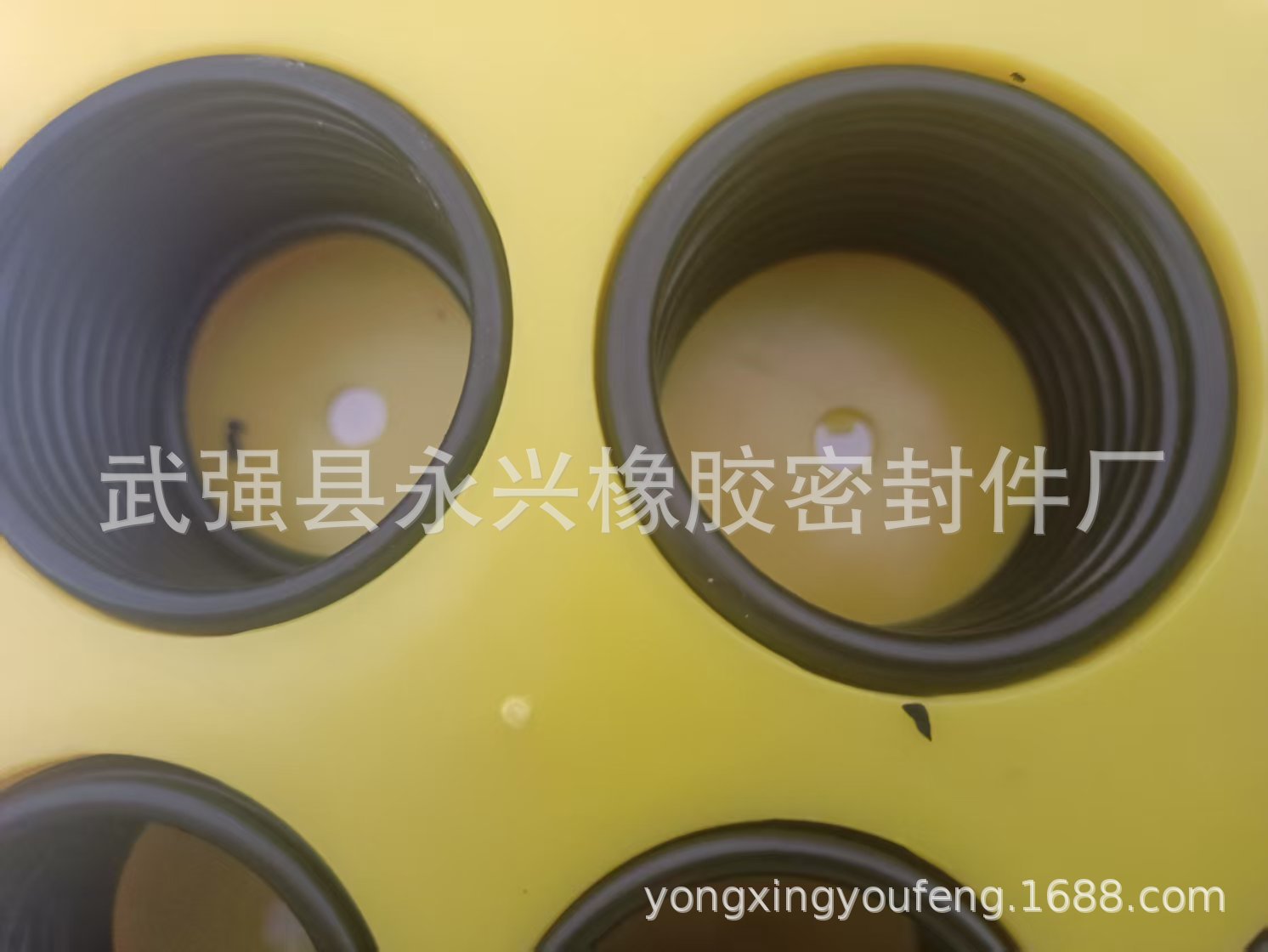 10752eda77826bf71cf21feb3005a4