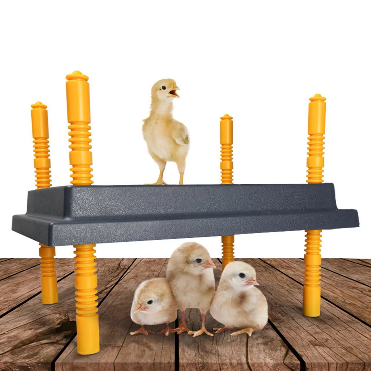 Fabricante de origen exclusivo transfronterizo Placa de calentamiento de pollitos de varios tamaños Placa de calentamiento de pollitos Placa de calentamiento de pollitos