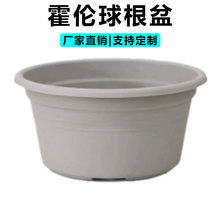 �������ϻ���������330|280���̨����Nֲ��������������