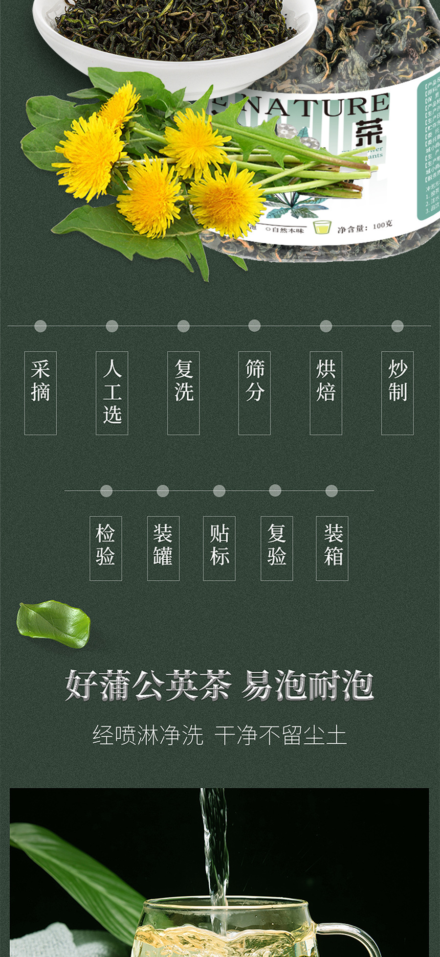 Dandelion Leaf Tea Changbai Mountain Dandelion Root Herbal Tea 100g Jar in use
