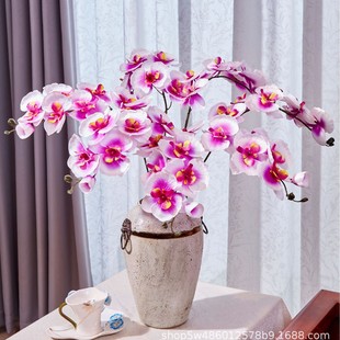 �������m�ٻ��͏d�������P�[�����ܻ鷿�����b����l���滨���l