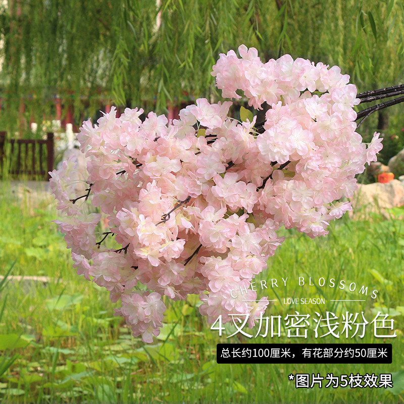 4개의 갈래 암호화된 라이트 핑크