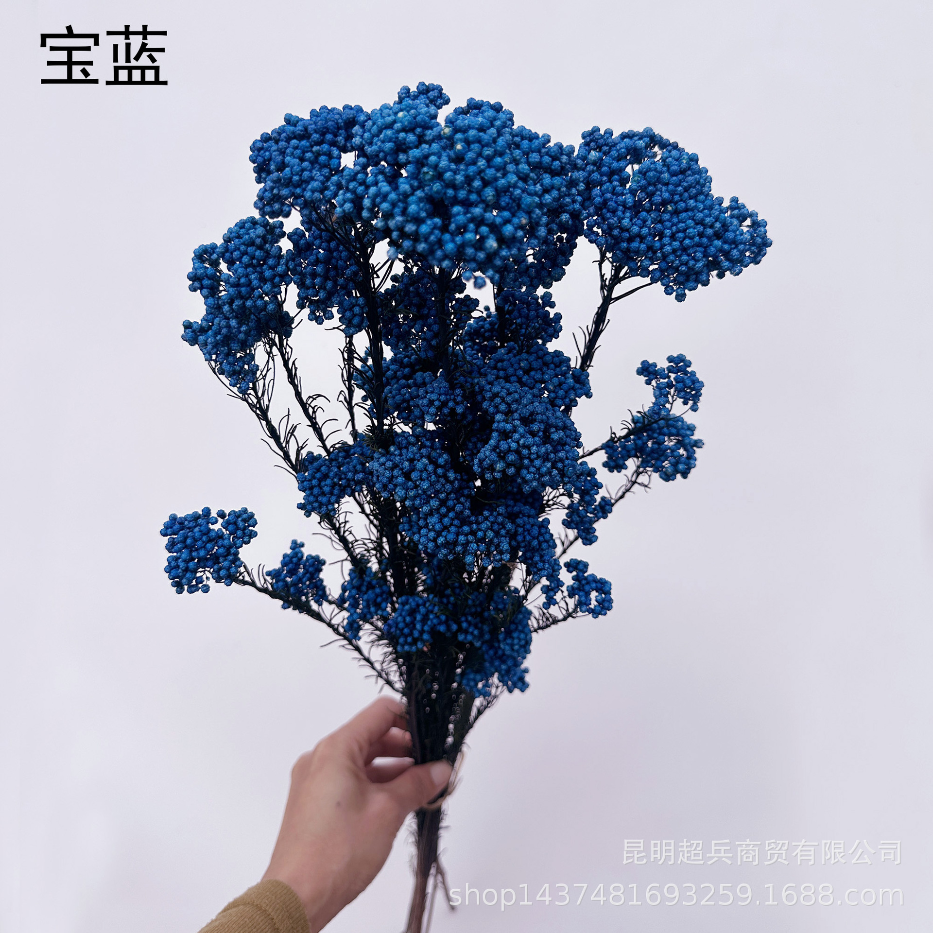 Bleu trésor