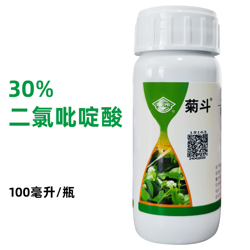 国光菊斗百慕大马尼拉狗牙根早熟禾除薇甘菊蒲公英刺儿菜除草剂