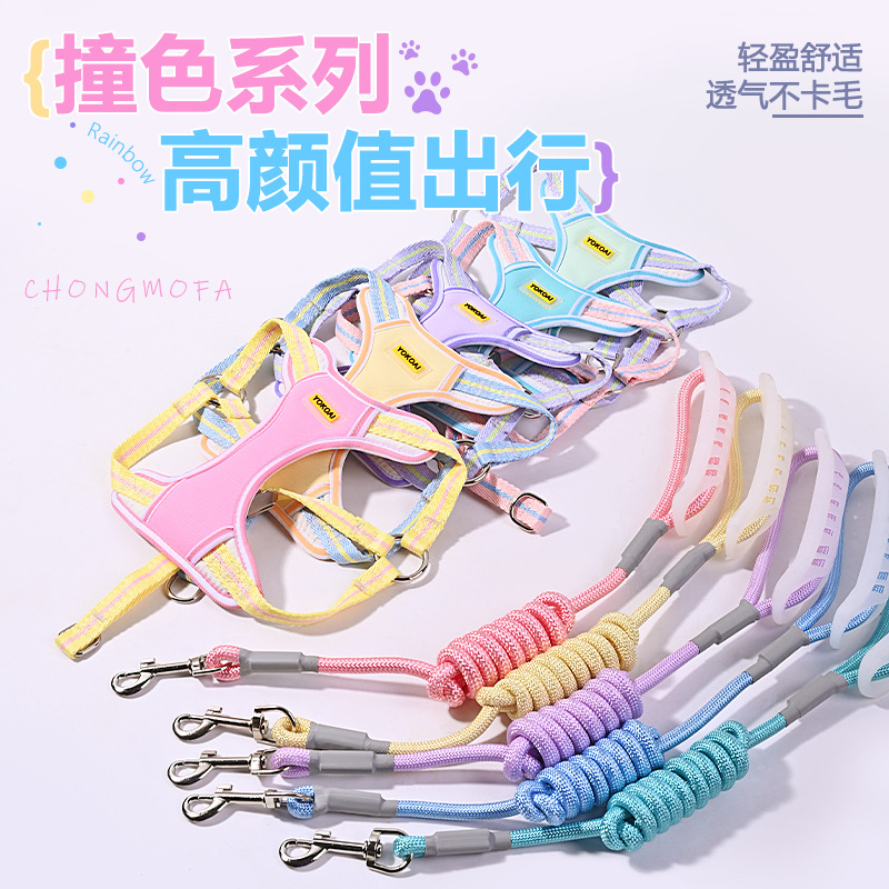 Chest-Style Dog Leash for Small Dogs, Bichon, Teddy, Pomeranian, Puppy Harness, Dog Walking Leash, Dog Chain